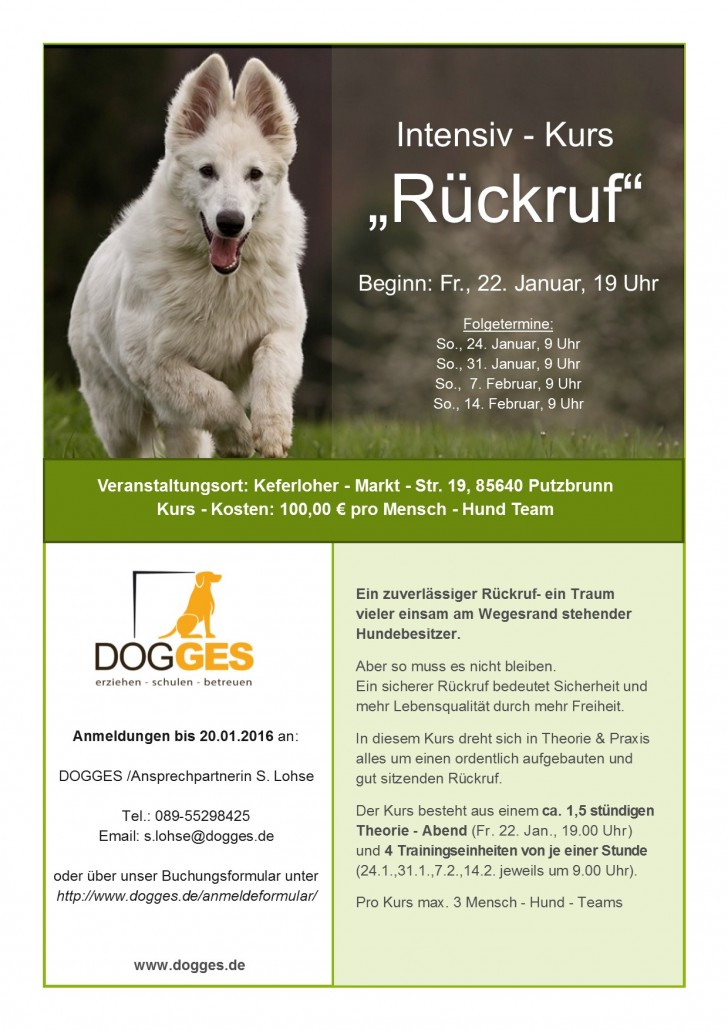 Flyer Intensiv Kurs Rückruf 22.1.2016 Dogges